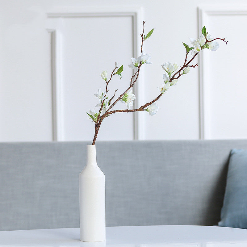Creative Ceramic Hydroponic Vase